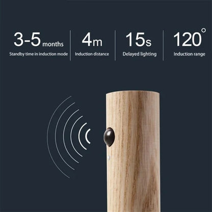 Smart Night Light